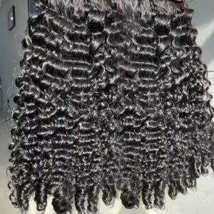Raw Burmese Curly